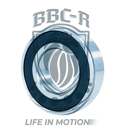 METRIC BALL BEARING,16004-2RS-C3 EU BBC-R