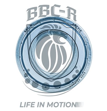 METRIC BALL BEARING,6311-2Z EU BBC-R