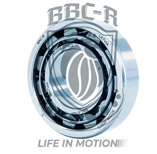 METRIC ROLLER BEARING,NJ206-C3 ZKL