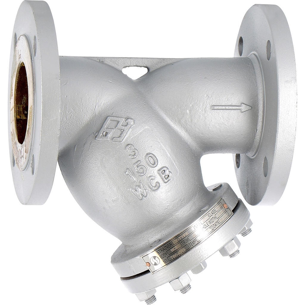 CARBON STEEL Y-STRAINER 243 ANSI150 10" A216WCB/F304 screen  