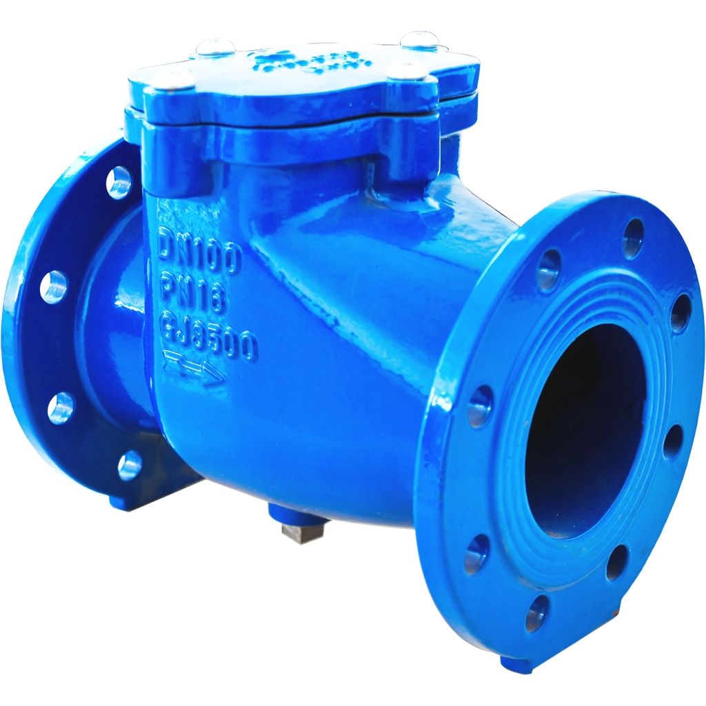 DUCTILE IRON CHECK V. 357 PN16 DN100 CF8M EPDM Swing plate  