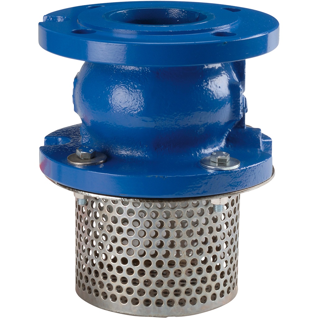 FOOT VALVE 363 PN16 DN65 Check V.366 +Carbon st. strainer basket  